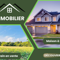 Collection image for: Immobilier