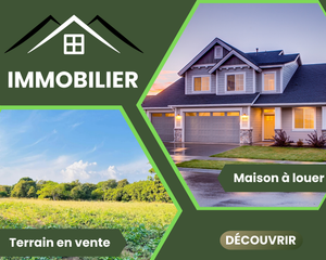 Collection image for: Immobilier