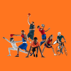 Sport - Shop Shap Service