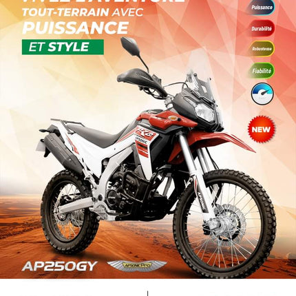 Apsonic AP250GY - Shop Shap Service - Apsonic AP250GY - Moto - Shop Shap Service - 