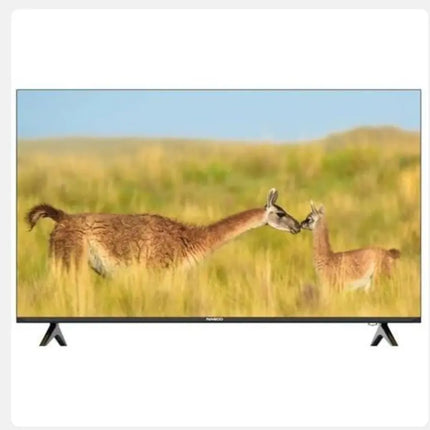 Nasco TV LED 50" - Google TV - 4K - UHD - Youtube - Netflix - Prime vidéo - Bluetooth - Dolby audio - HDMI - Shop Shap - Nasco TV LED 50" - Google TV - 4K - UHD - Youtube - Netflix - Prime vidéo - Bluetooth - Dolby audio - HDMI - Télévision - Shop Shap - 