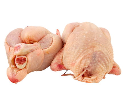 Pondeuse fraîche