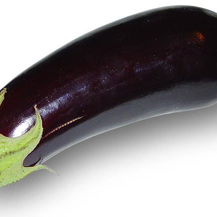 Aubergine violette fraîche - vendu au kilo