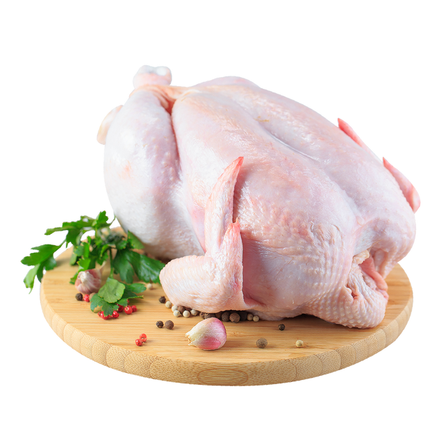 Poulet de chair
