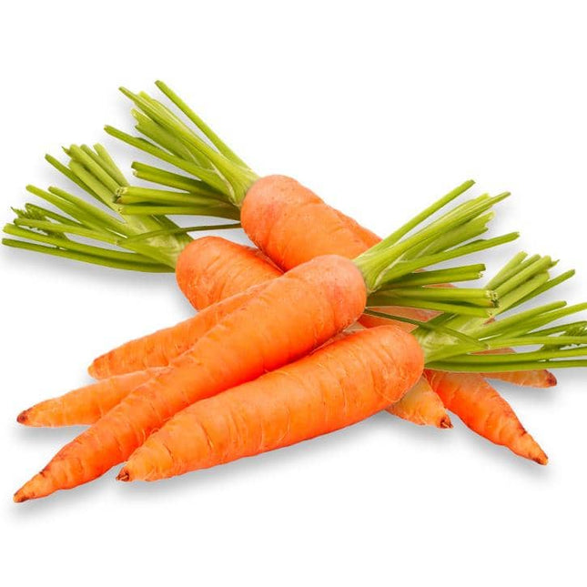 Carottes fraîches - Vendues par kilo