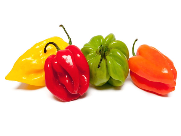 Piment sent bon frais - Vendu au kilo