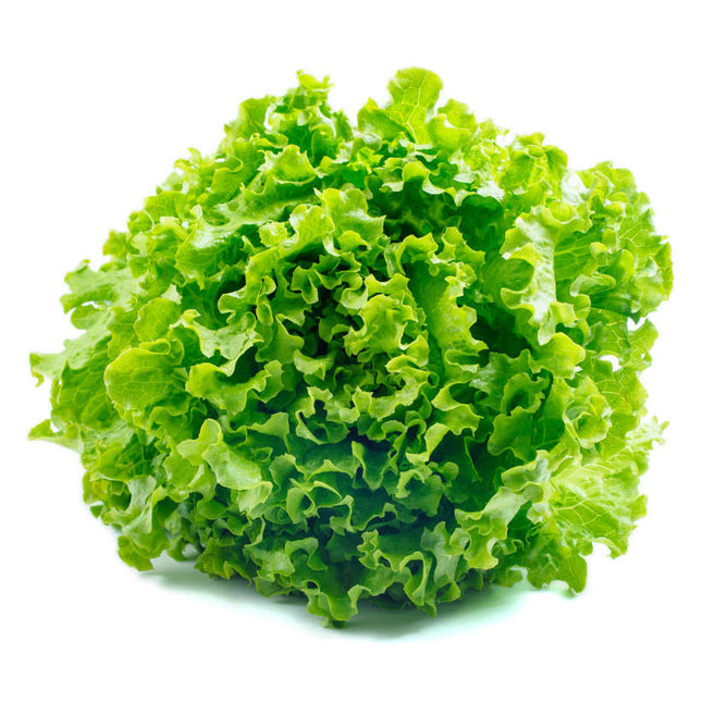 Laitue - Salade Fraîche - Vendue en paire de 225 FCFA