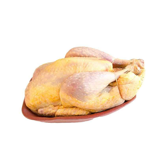 Pintade fraîche