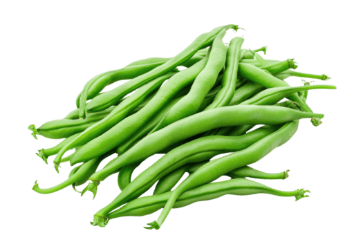 Haricots verts - vendus au kilo