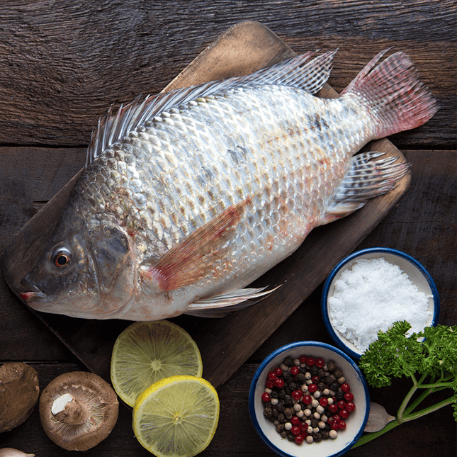 Poisson d'eau douce - Tilapia - vendu au kilo