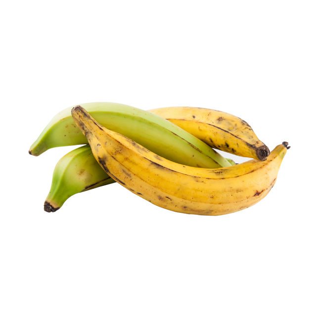 Banane plantain fraîche - vendue au kilo