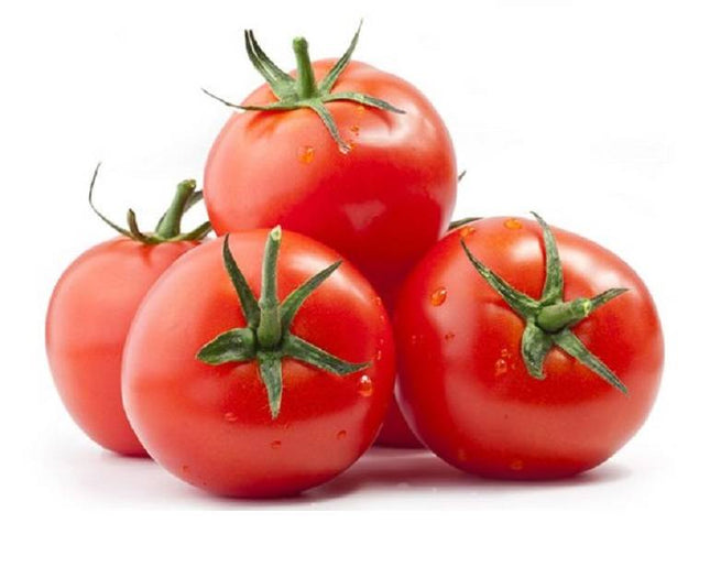 Tomates fraîches - vendues par Kilogramme