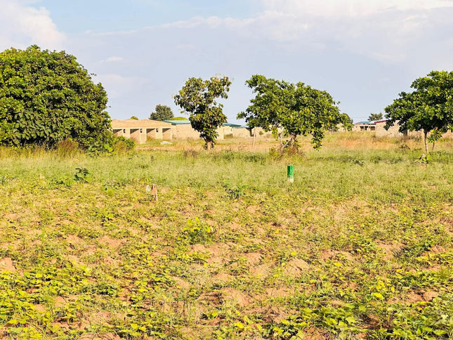Terrain en vente - Korhogo, Foro - Shop Shap Service - Terrain en vente - Korhogo, Foro - Terrain - Shop Shap Service - 